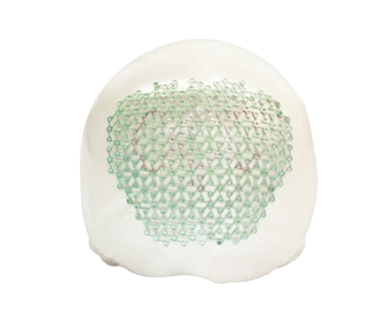 Mini placas de titanio para craneoplastia Biomet - Image 2